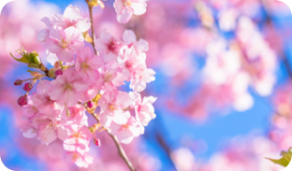 4月